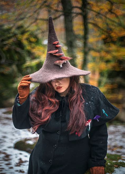 Witch hat musyroom